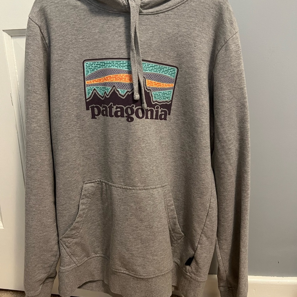 Patagonia Gray Sweatshirt Graphic Hoodie